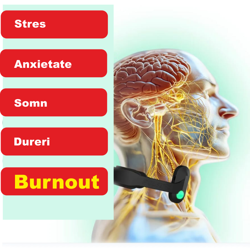 Pulsetto-mod burnout