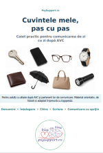 caiet lucru AVC